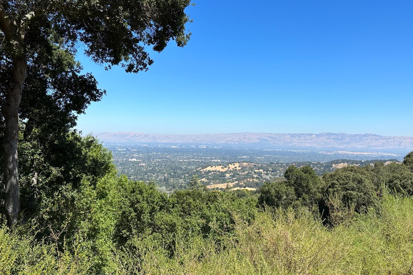 16227 Maya Way Los Gatos, CA 95030 - Photo 27 of 27 a view of a city with lush green forest