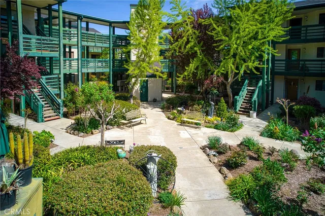 a view of a garden with plants