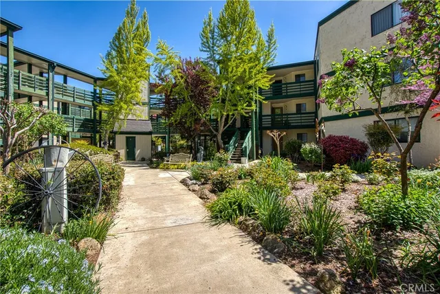 a view of a pathway with potted plants and large trees