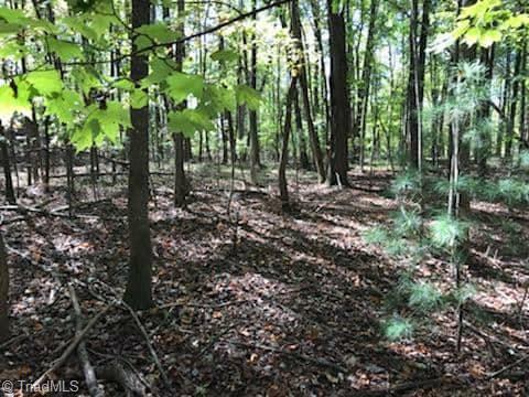 0 Laurelwood Road State Road, NC 28676 - Photo 2 of 5 Gallery Image 2
