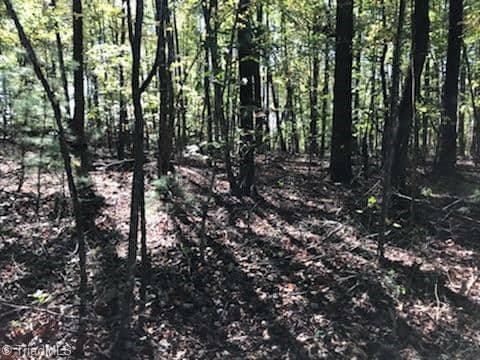 0 Laurelwood Road State Road, NC 28676 - Photo 3 of 5 Gallery Image 3