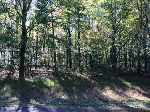 0 Laurelwood Road State Road, NC 28676 - Photo 5 of 5 Gallery Image 5