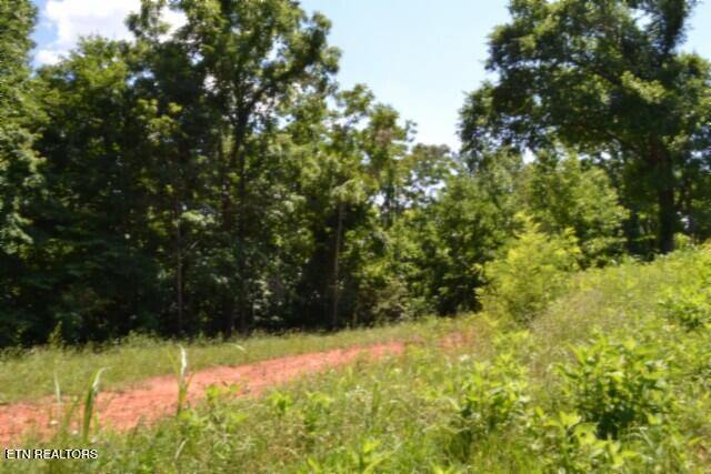 2390 Pea Ridge Fire Tower Road Celina, TN 38551 - Photo 51 of 58 DSC_0147