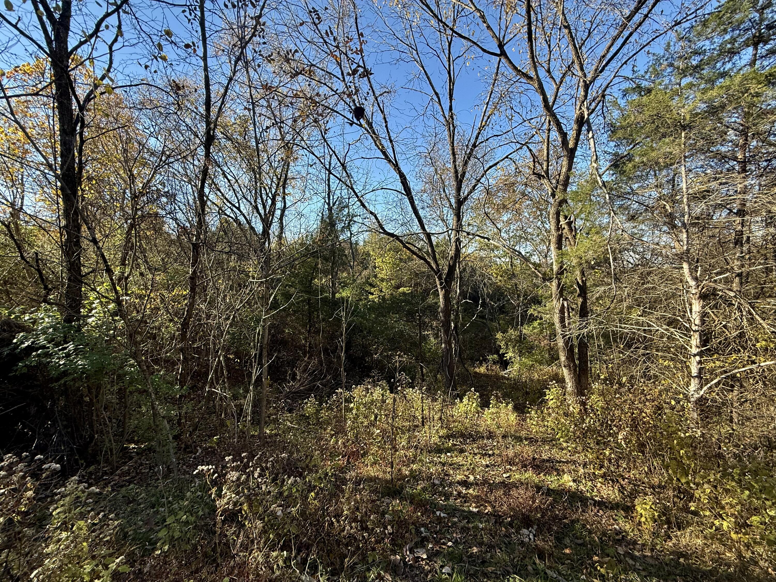 929 Fisher Road Foster, KY 41043 - Photo 25 of 49