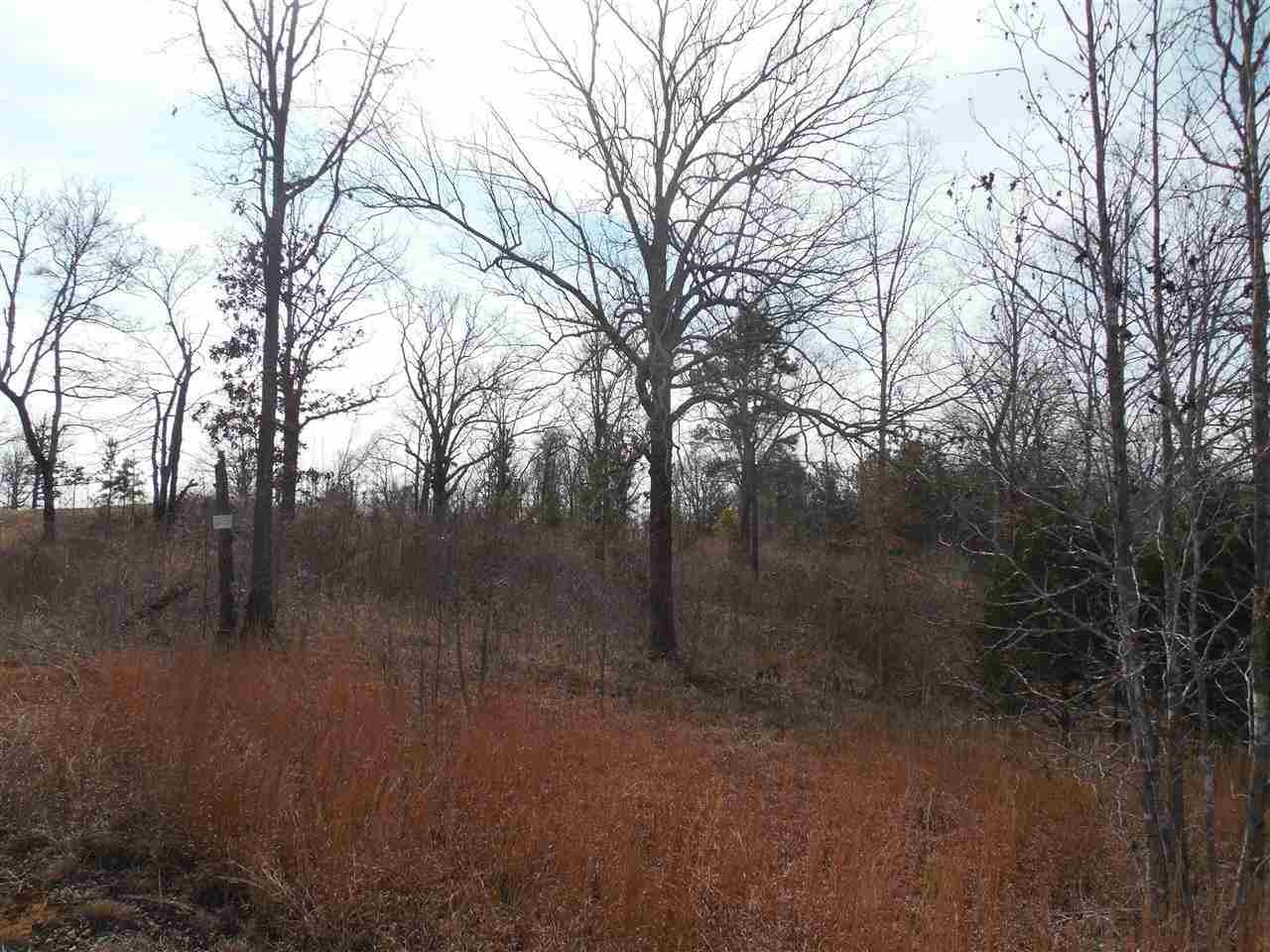 0 Brownlee Road Potts Camp, MS 38659 - Photo 1 of 26 Photo 1