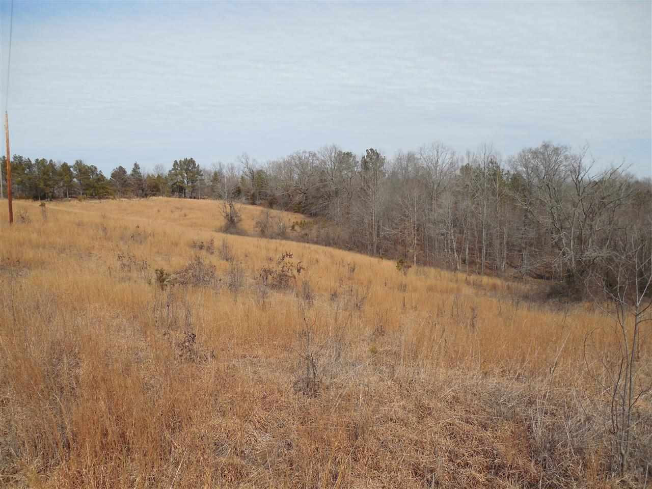 0 Brownlee Road Potts Camp, MS 38659 - Photo 2 of 26 Photo 2