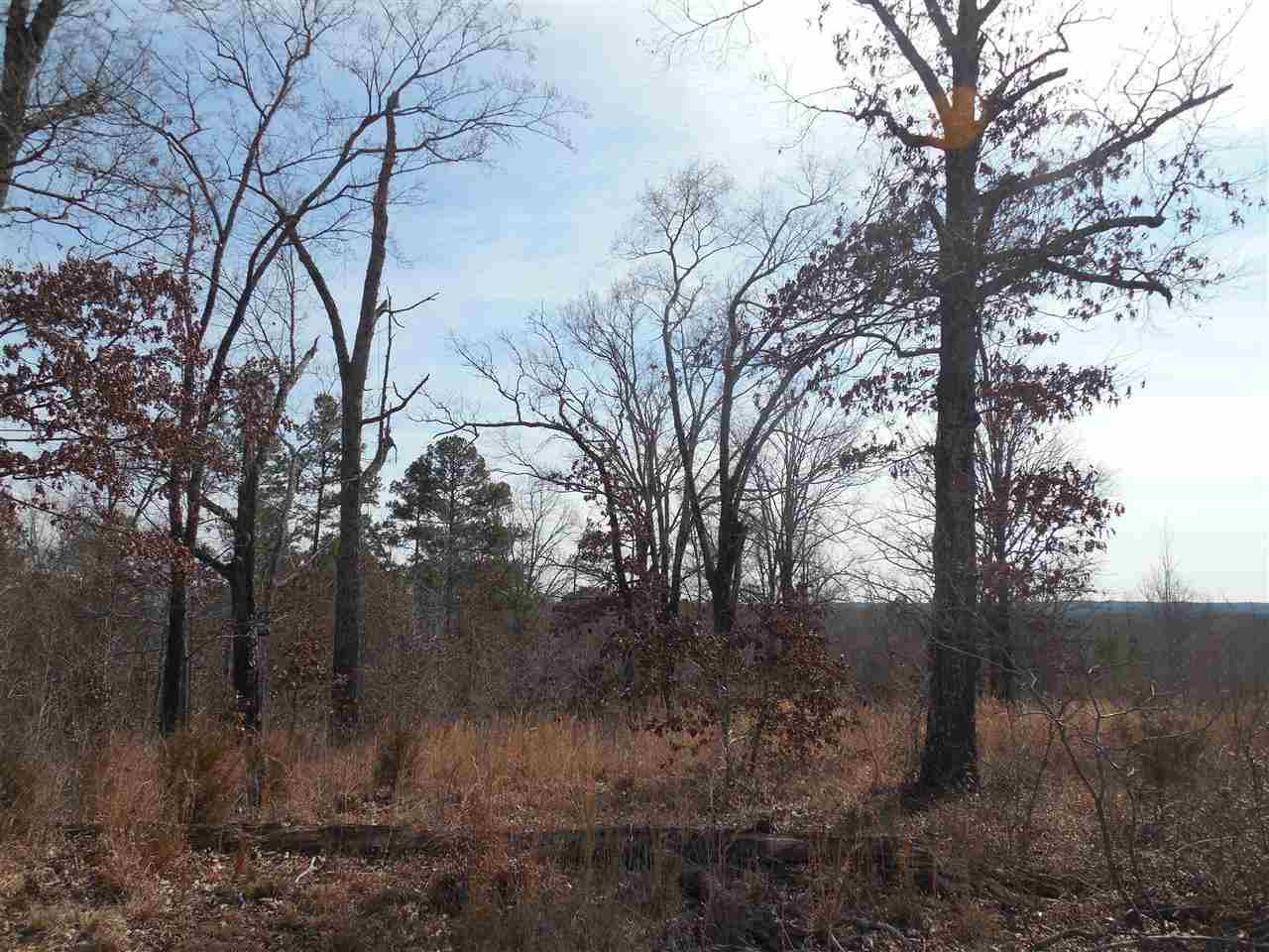 0 Brownlee Road Potts Camp, MS 38659 - Photo 3 of 26 Photo 3