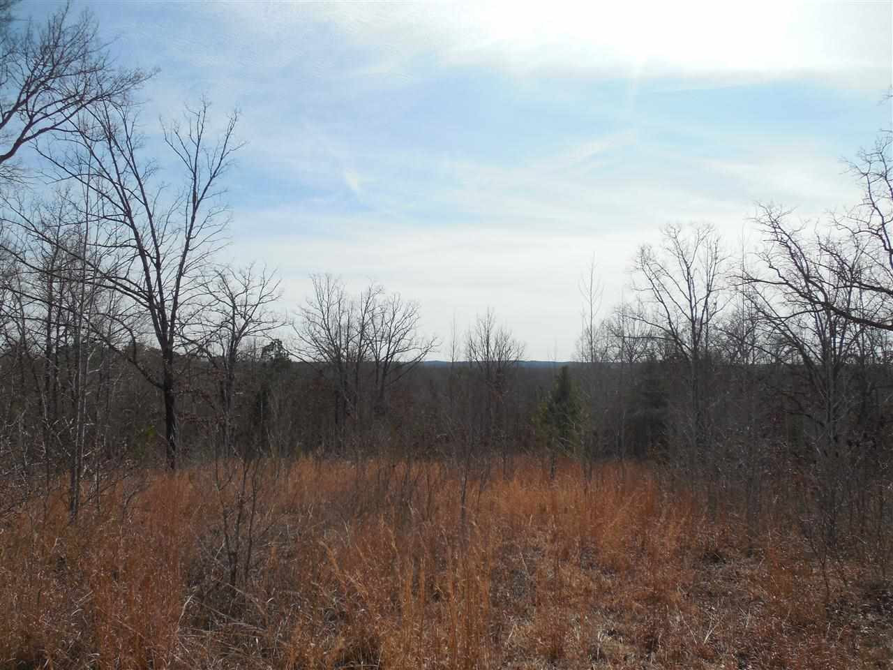 0 Brownlee Road Potts Camp, MS 38659 - Photo 4 of 26 Photo 4