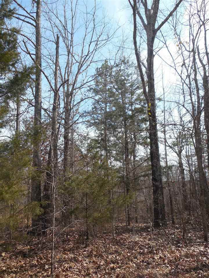 0 Brownlee Road Potts Camp, MS 38659 - Photo 9 of 26 Photo 9