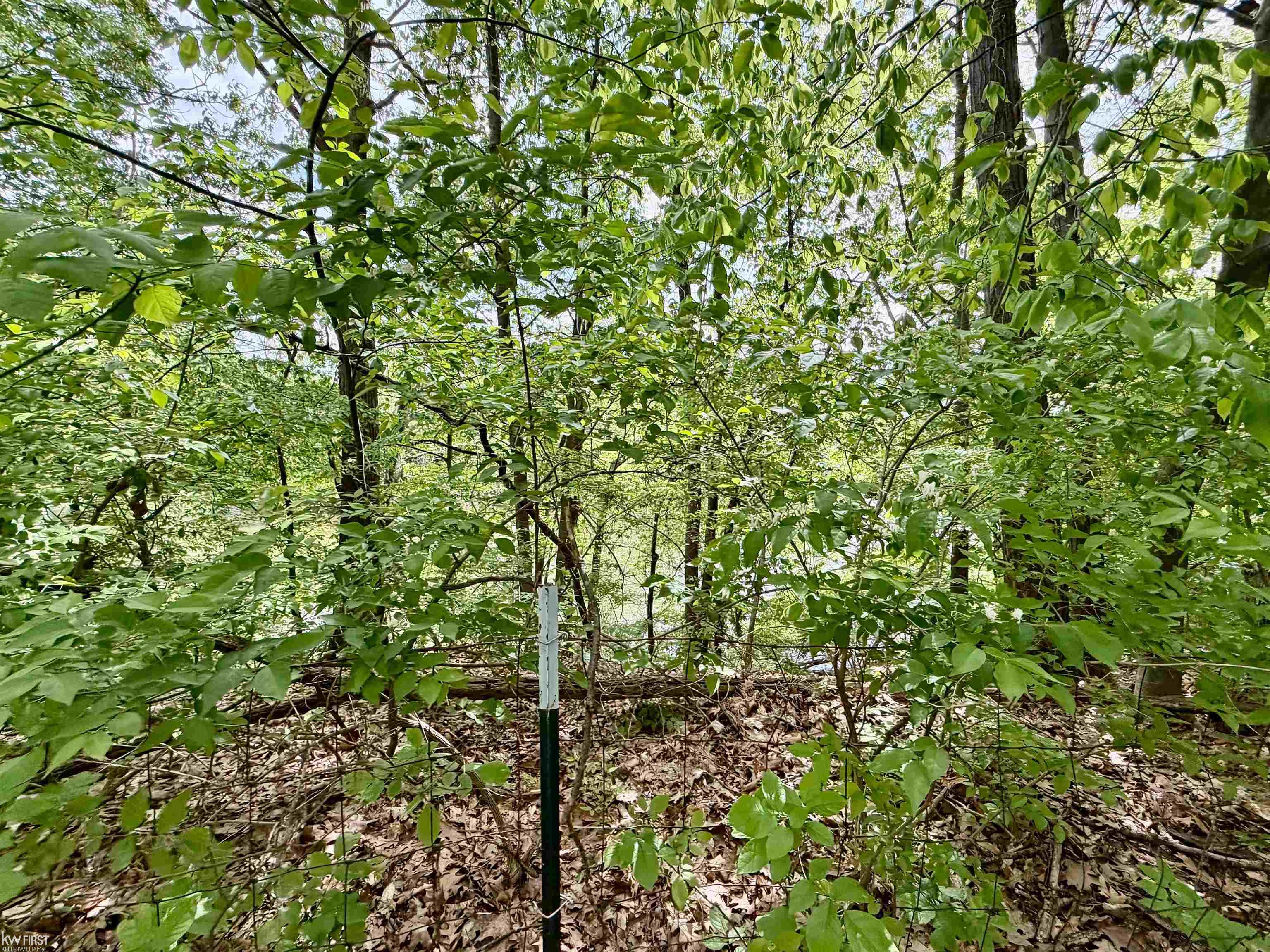 7432 East River Road Flushing, MI 48433 - Photo 14 of 62