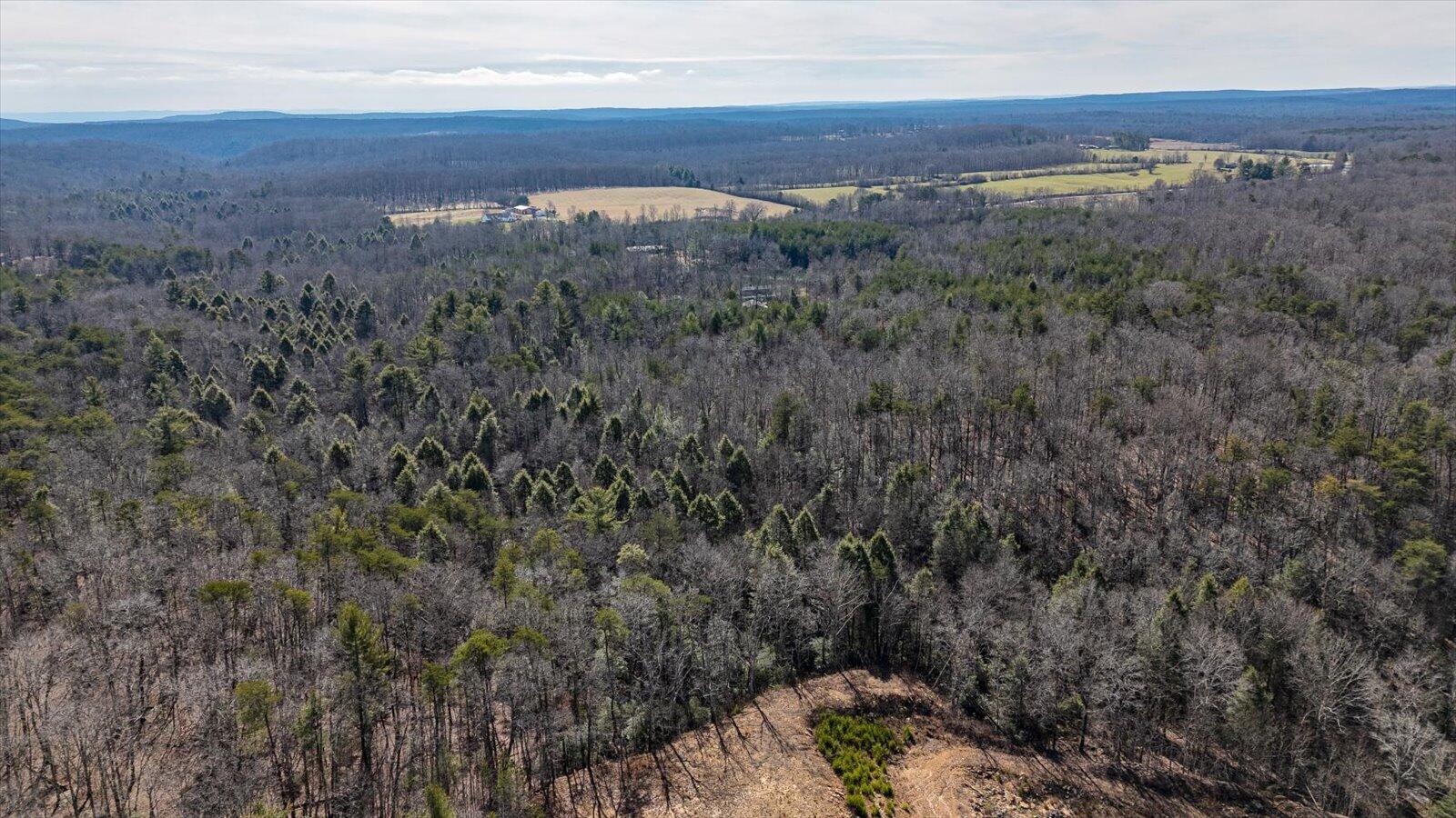 11231 Hendon Road Graysville, TN 37338 - Photo 1 of 16 05-11321 Hendon Rd-5