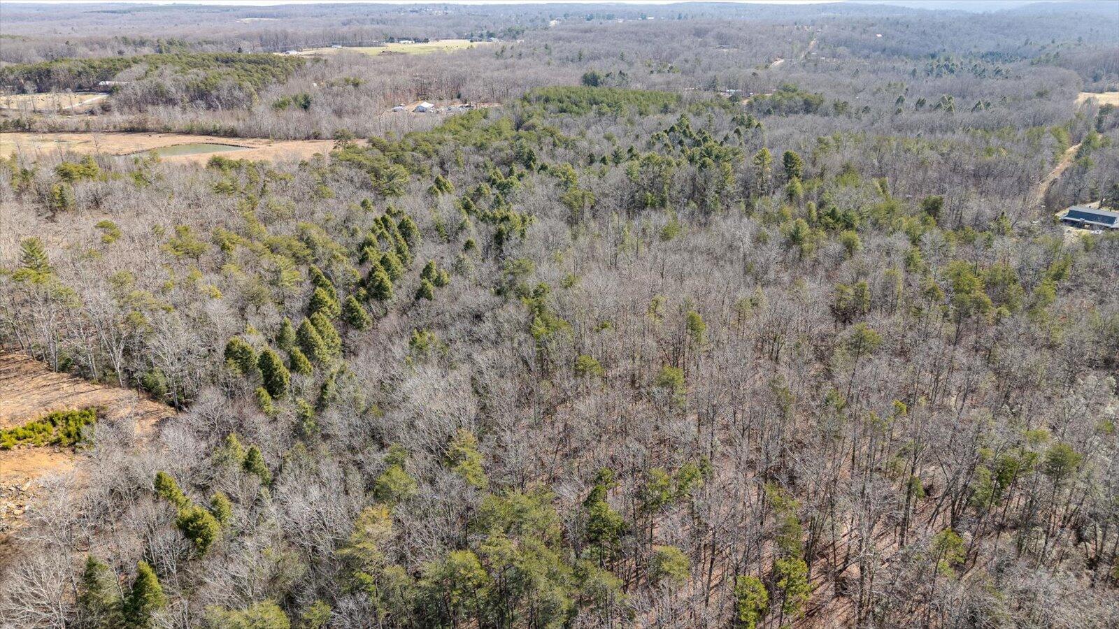 11231 Hendon Road Graysville, TN 37338 - Photo 14 of 16 07-11321 Hendon Rd-7