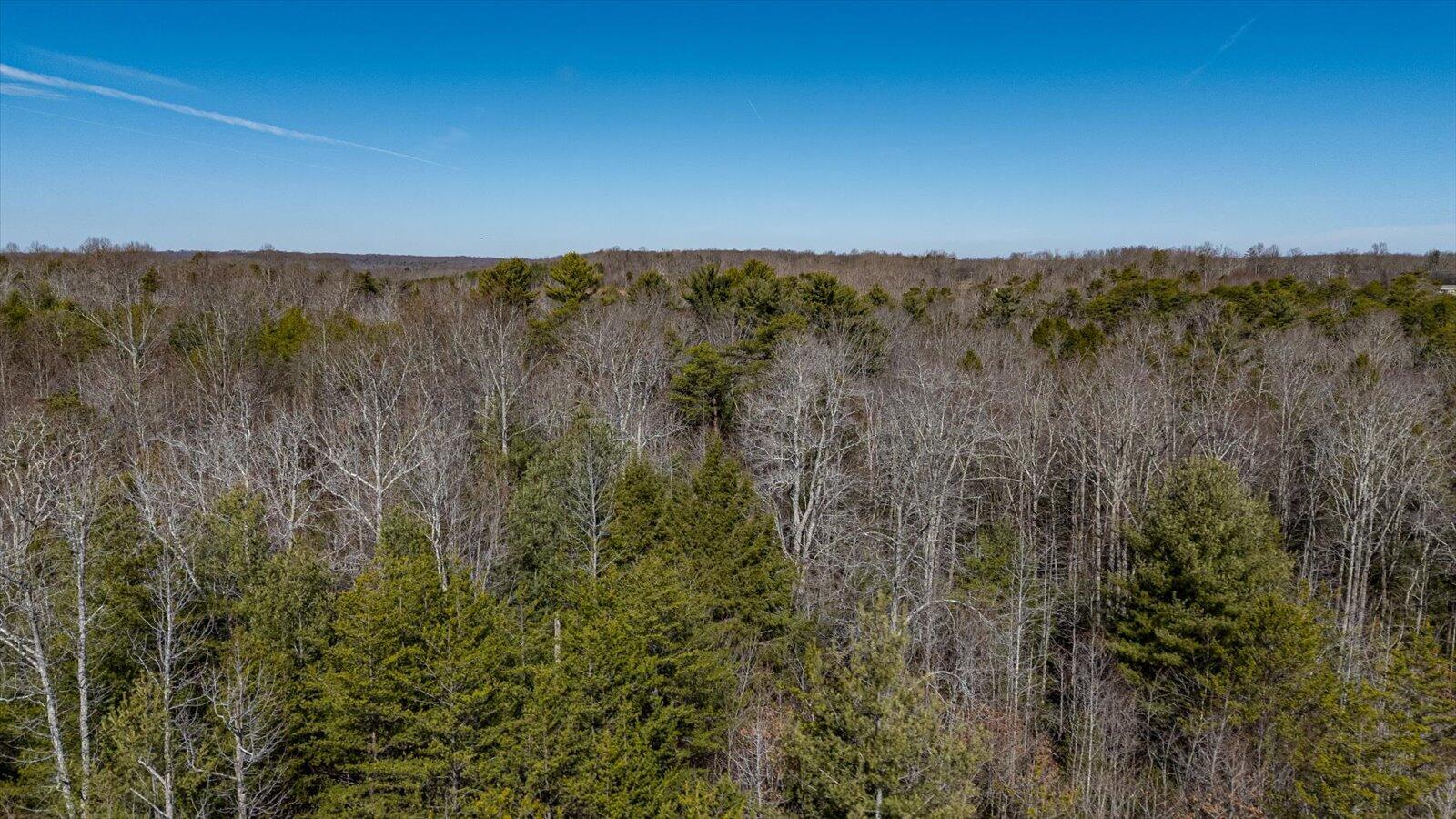 11231 Hendon Road Graysville, TN 37338 - Photo 4 of 16 08-11321 Hendon Rd-8