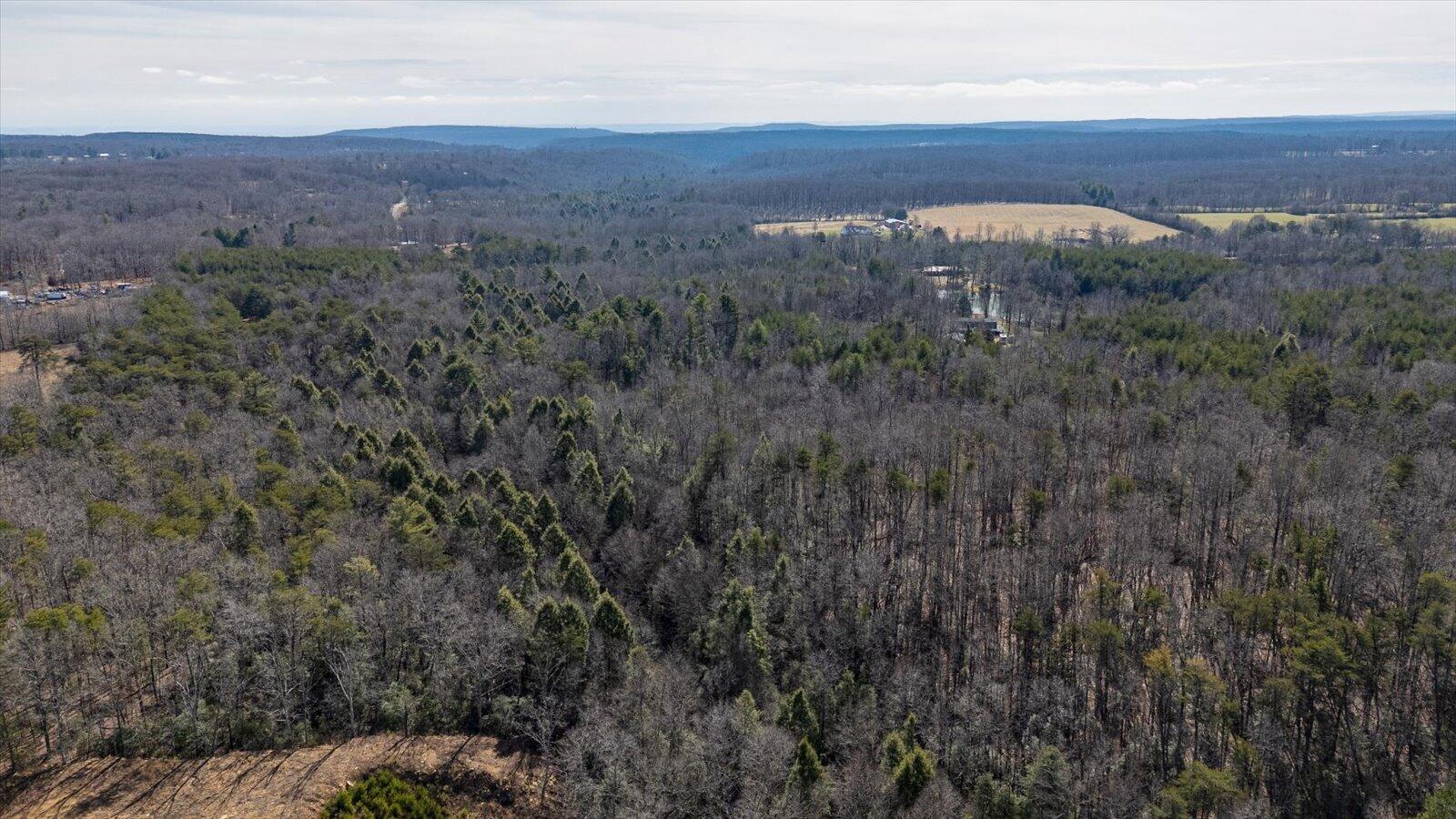 11231 Hendon Road Graysville, TN 37338 - Photo 8 of 16 06-11321 Hendon Rd-6