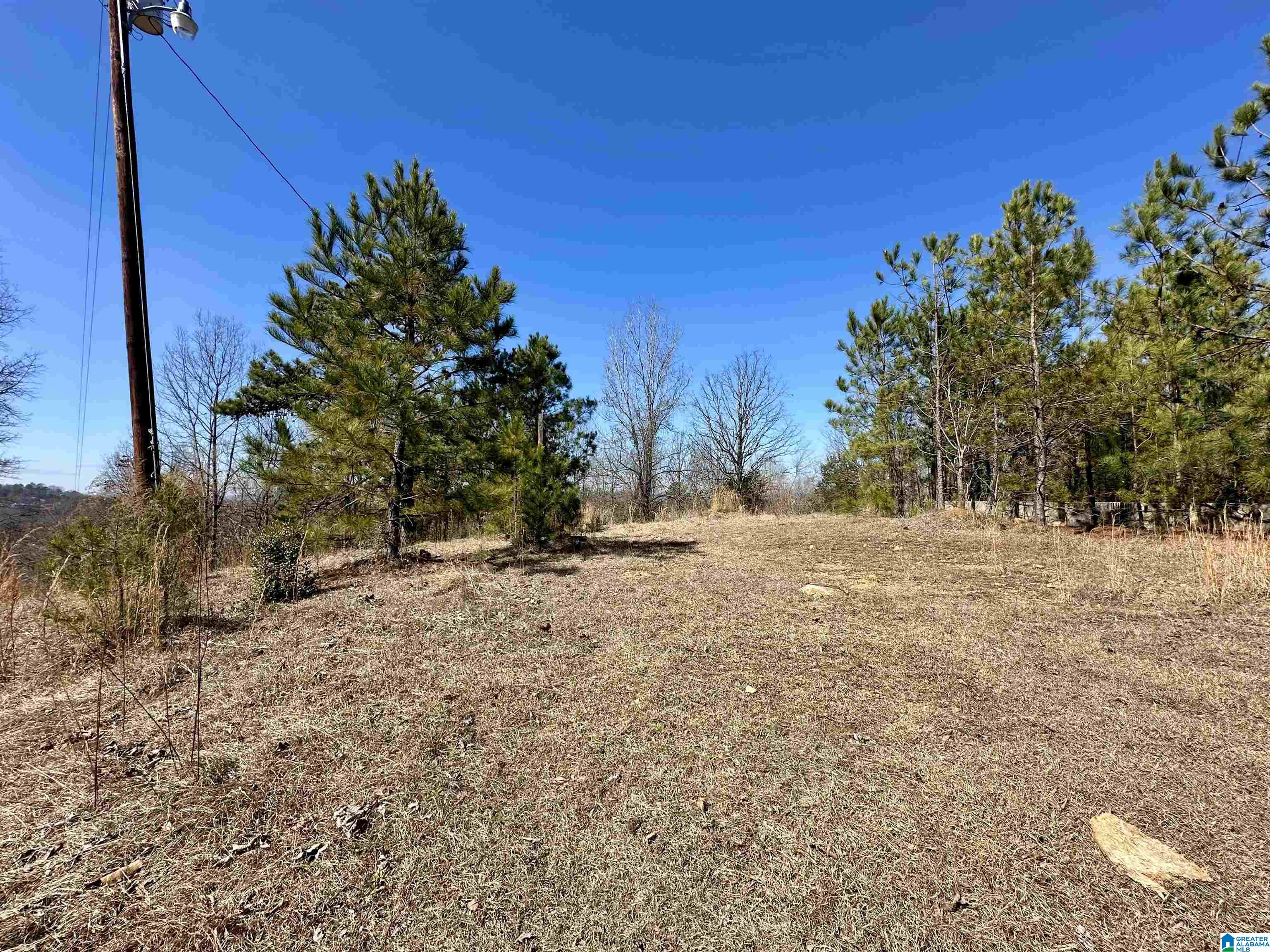 0 Blue Ridge Drive Talladega, AL 35160 - Photo 2 of 14