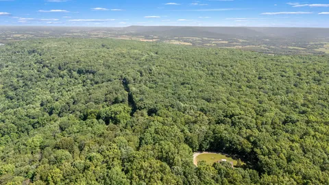 a view of a city with lush green forest