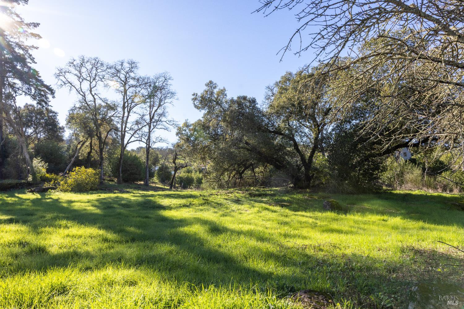 4011 Skyfarm Drive Santa Rosa, CA 95403 - Photo 11 of 19 a view of a yard with a house