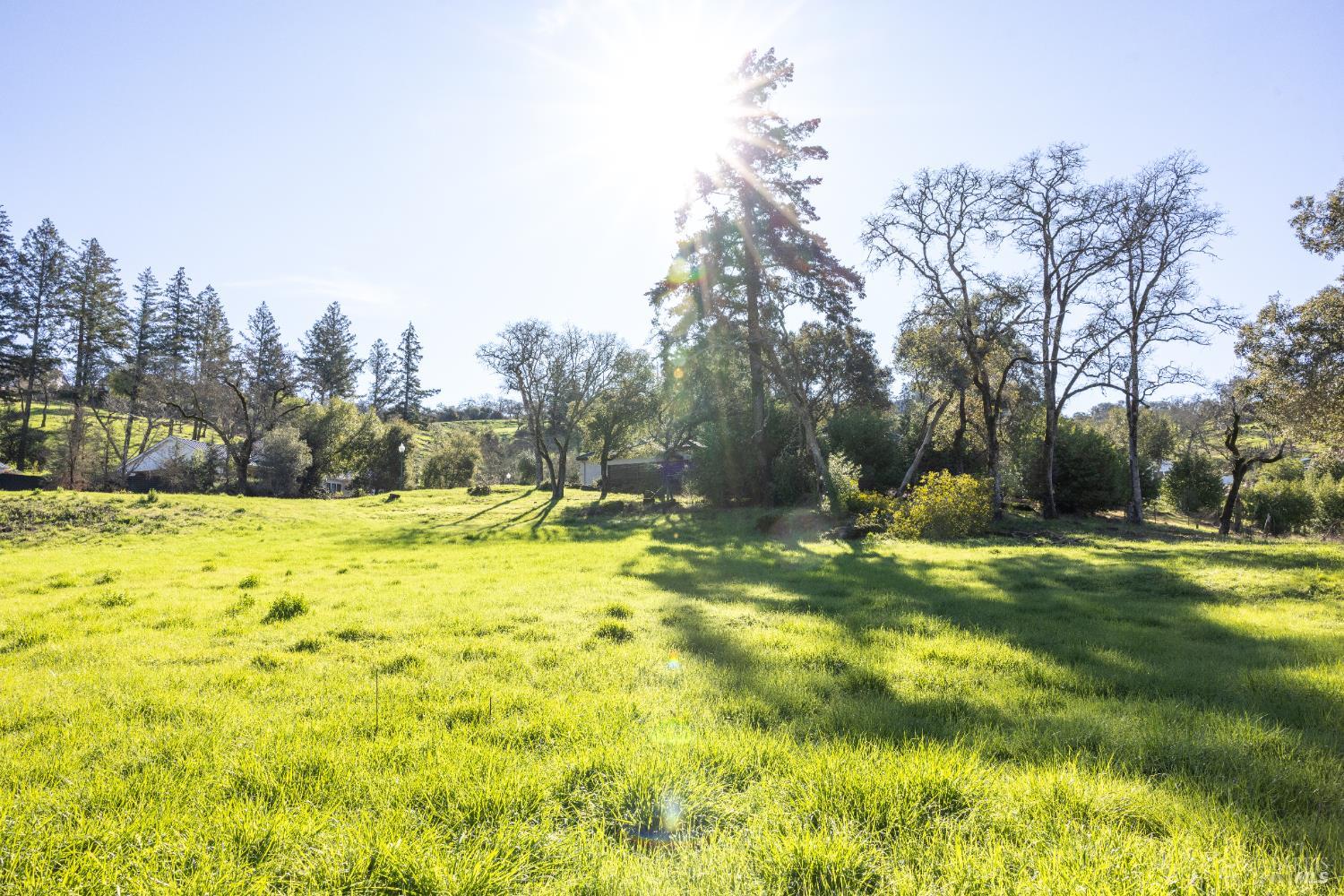 4011 Skyfarm Drive Santa Rosa, CA 95403 - Photo 12 of 19 a swimming pool with trees in the background
