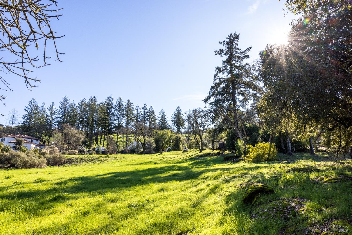 4011 Skyfarm Drive Santa Rosa, CA 95403 - Photo 13 of 19 a view of yard with swimming pool and green space