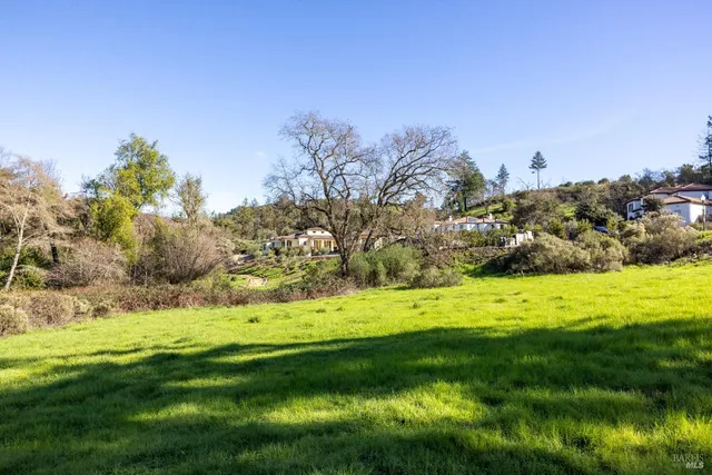 a view of a grassy area with an ocean