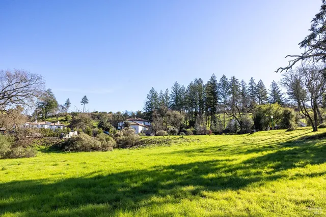 a view of backyard with tree