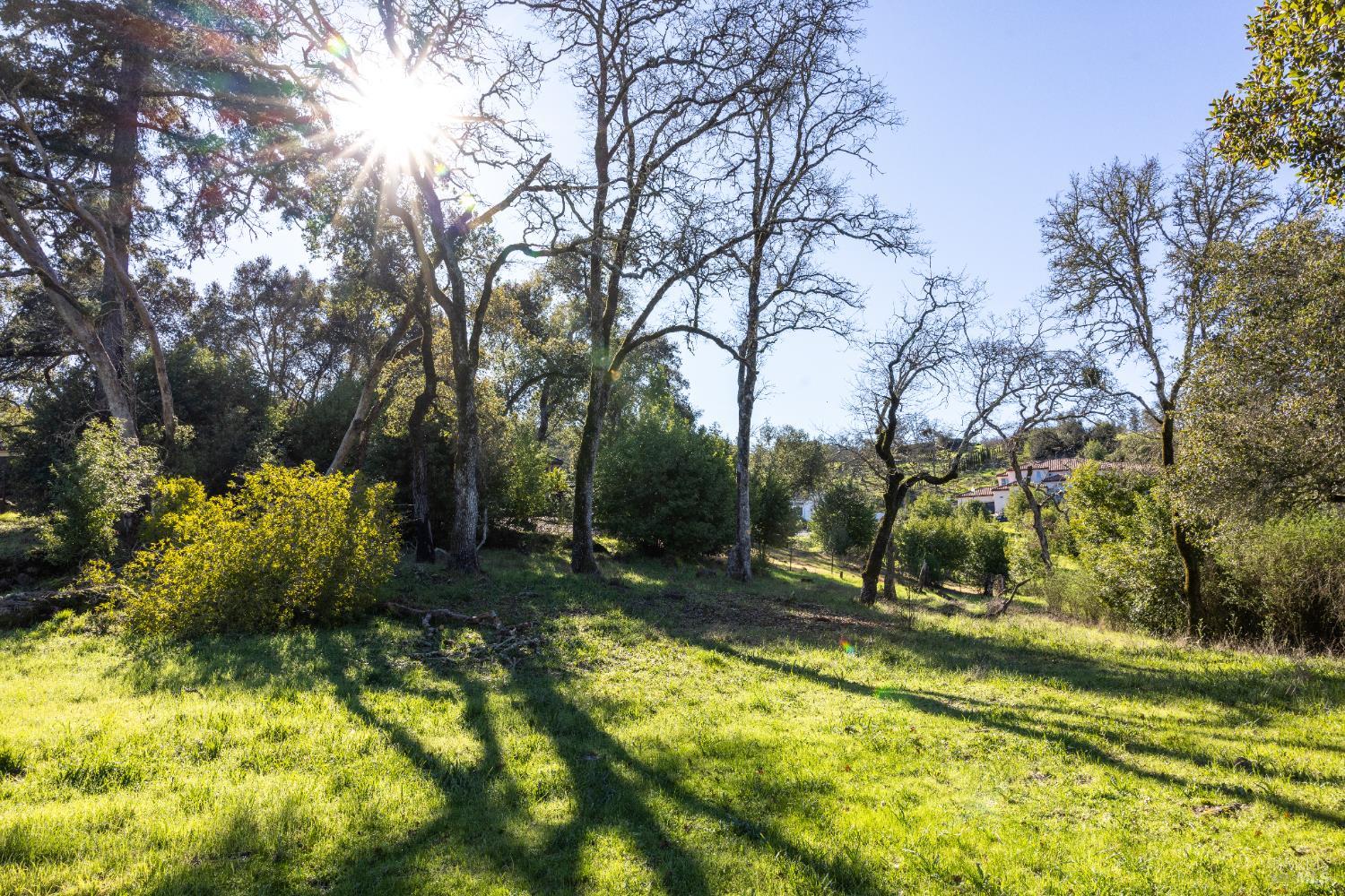 4011 Skyfarm Drive Santa Rosa, CA 95403 - Photo 18 of 19 a view of backyard with tree