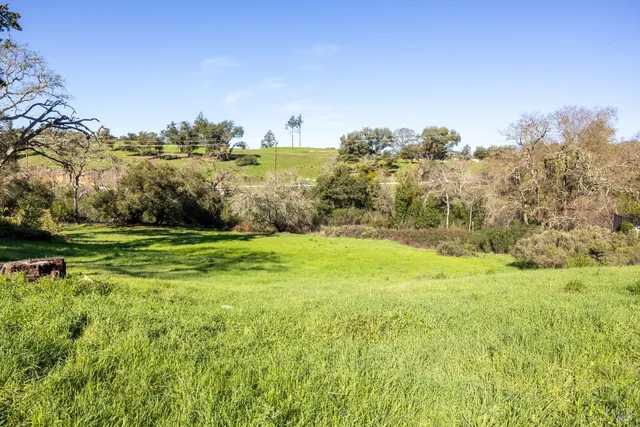 a view of a big yard with large trees