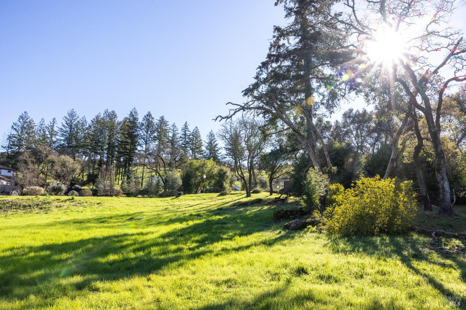 4011 Skyfarm Drive Santa Rosa, CA 95403 - Photo 4 of 19 a view of lawn chairs and trees