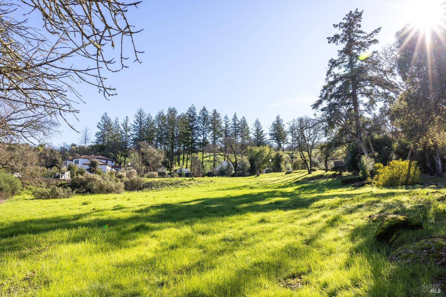4011 Skyfarm Drive Santa Rosa, CA 95403 - Photo 7 of 19 a view of yard with swimming pool and trees