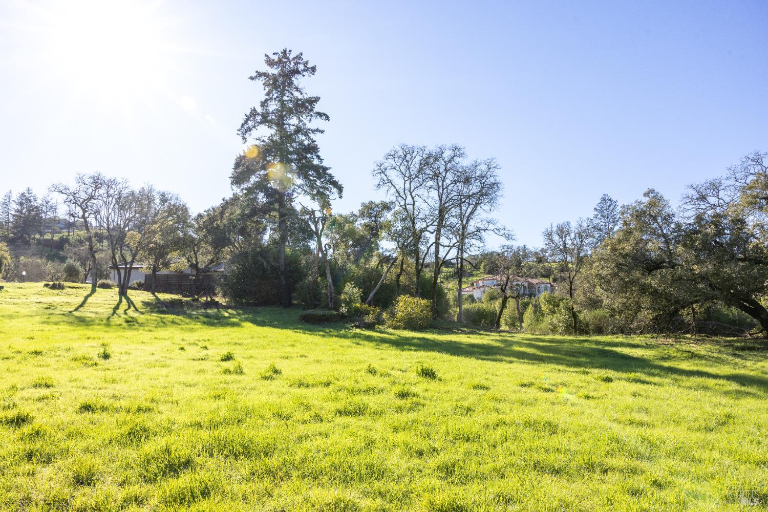 4011 Skyfarm Drive Santa Rosa, CA 95403 - Photo 10 of 19 a swimming pool with trees in the background