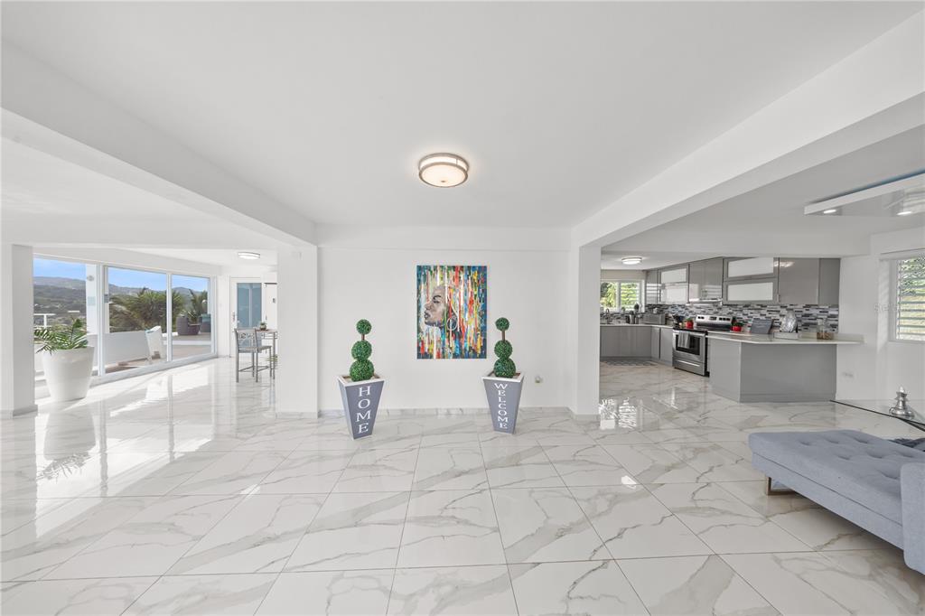 2 Carr 739 Caguas, PR 00727 - Photo 13 of 53