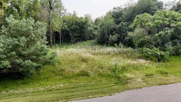 $43,500 | Lot 10 776th Ave Spring Valley, Spring Valley, WI 54767