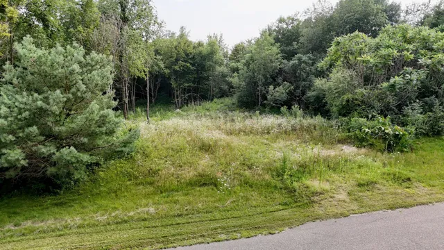 $50,000 | Lot 10 776th Avenue, Spring Valley, WI 54767