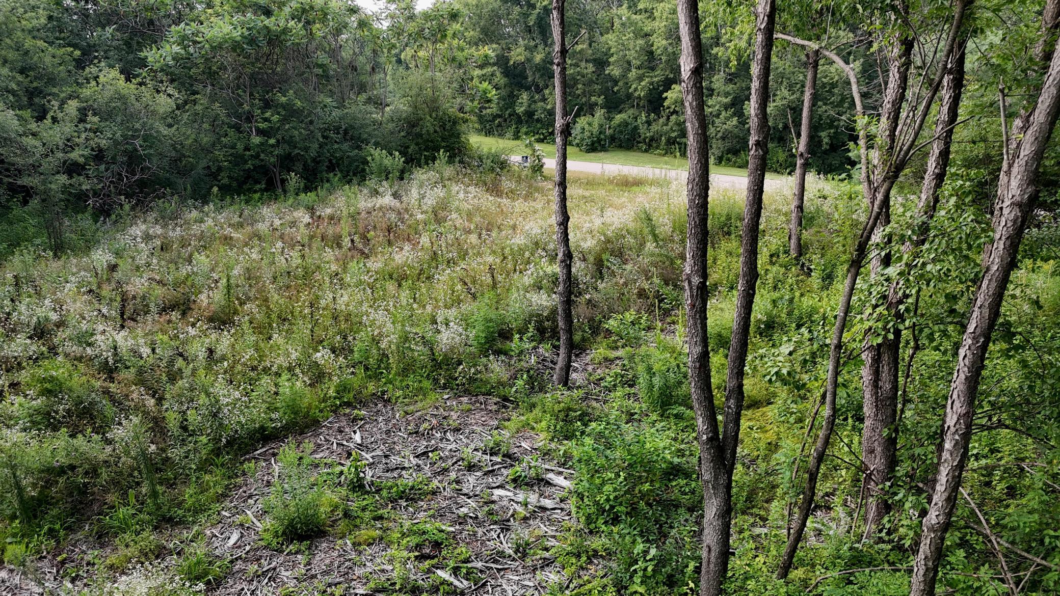 Lot 10 776th Ave Spring Valley Spring Valley, WI 54767 - Photo 2 of 7
