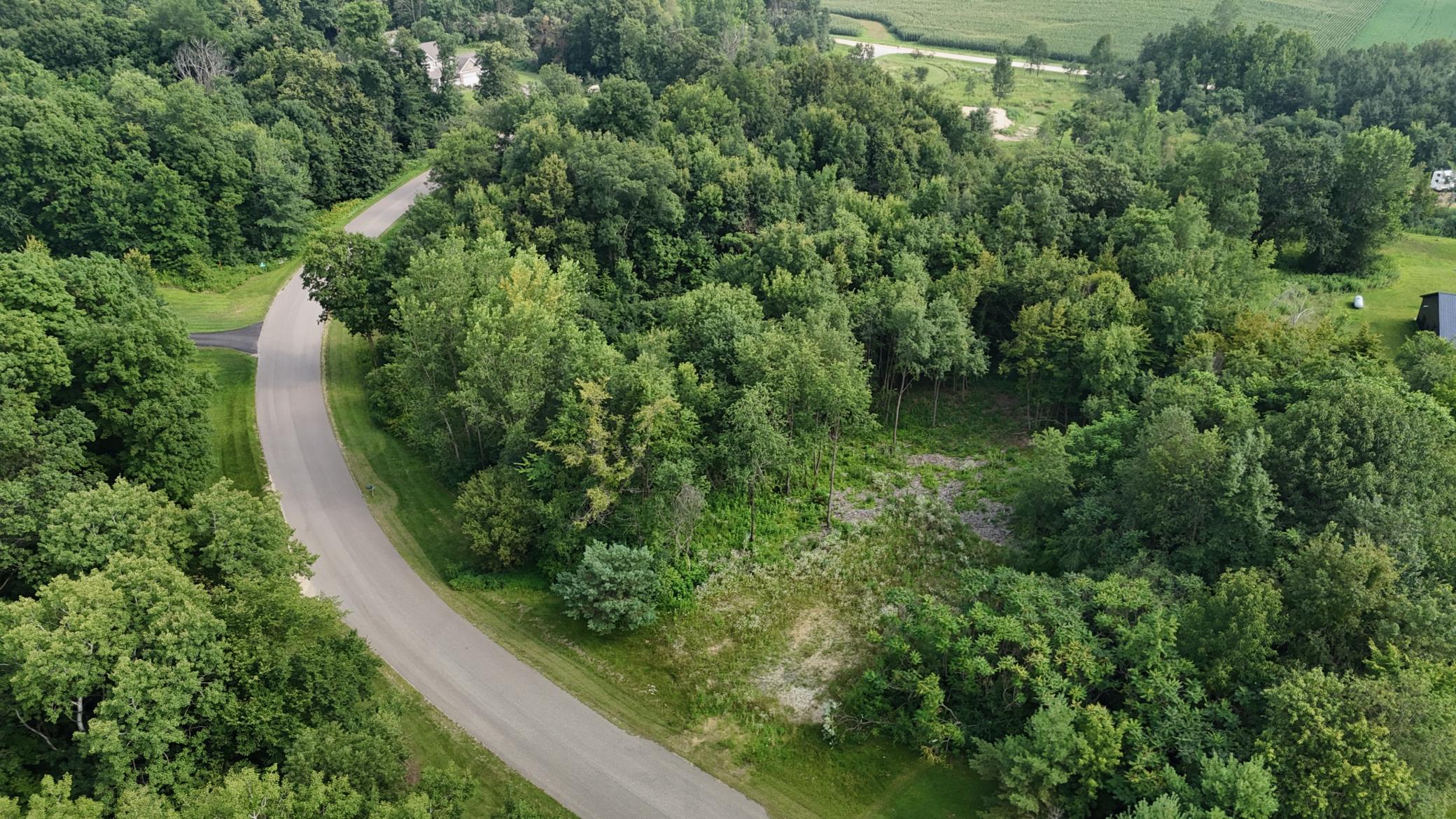Lot 10 776th Ave Spring Valley Spring Valley, WI 54767 - Photo 3 of 7