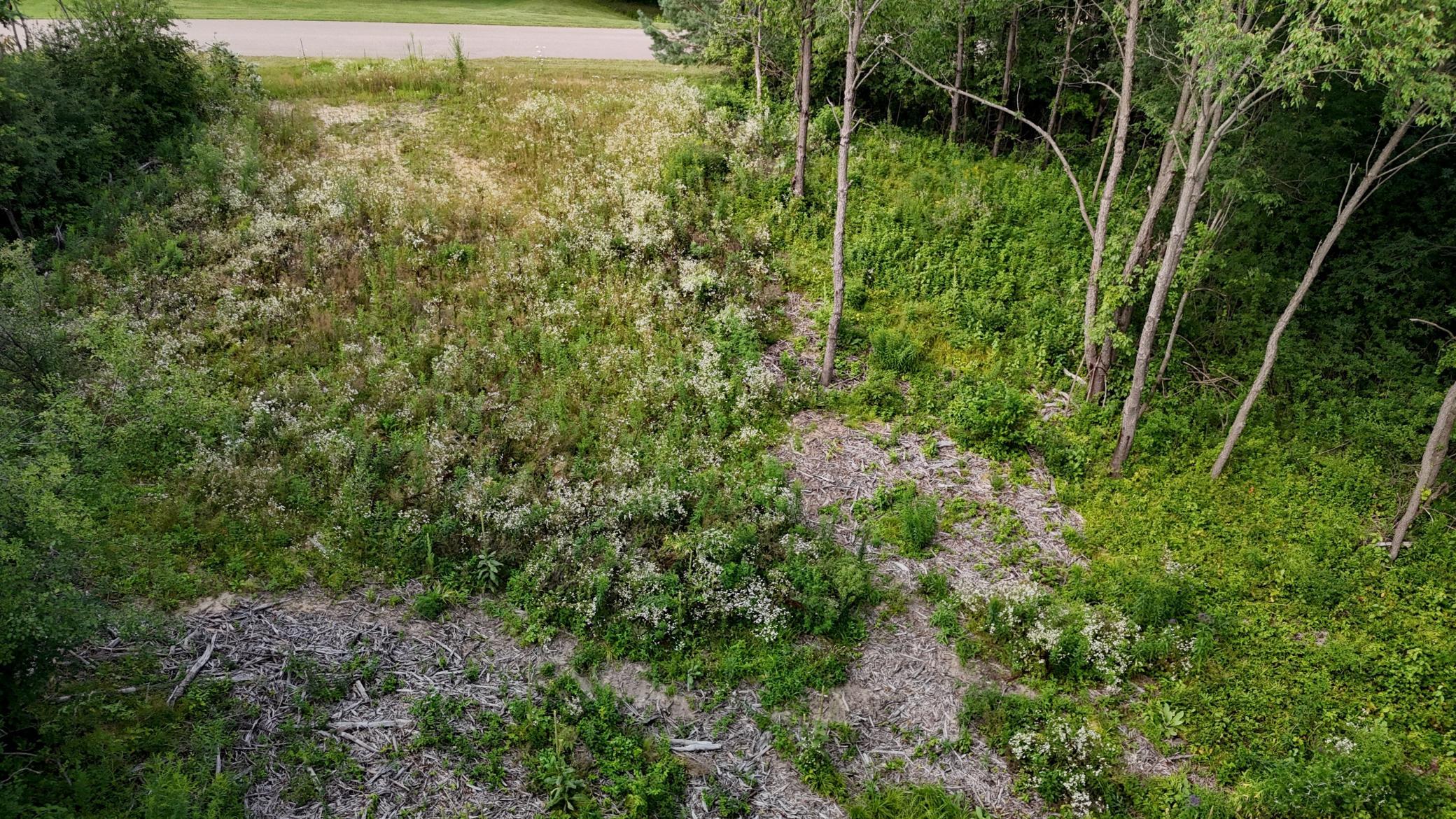 Lot 10 776th Ave Spring Valley Spring Valley, WI 54767 - Photo 6 of 7