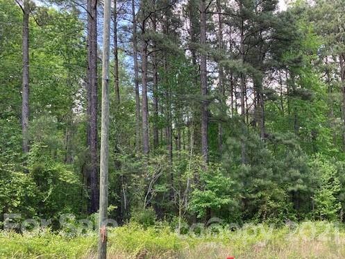 0 High Rock Road, Unit TRACT 2 Gold Hill, NC 28071 - Photo 1 of 9 Gallery Image 1