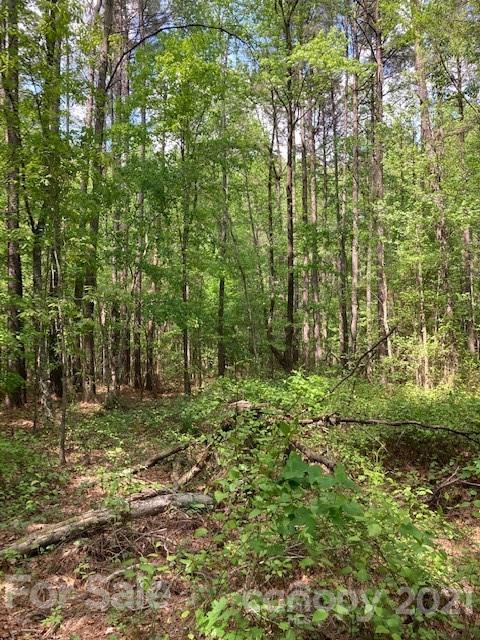 0 High Rock Road, Unit TRACT 2 Gold Hill, NC 28071 - Photo 2 of 9 Gallery Image 2