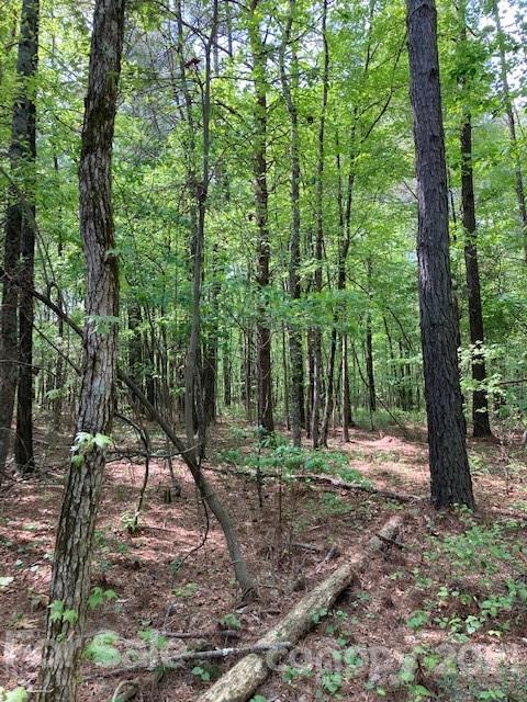 0 High Rock Road, Unit TRACT 2 Gold Hill, NC 28071 - Photo 3 of 9 Gallery Image 3