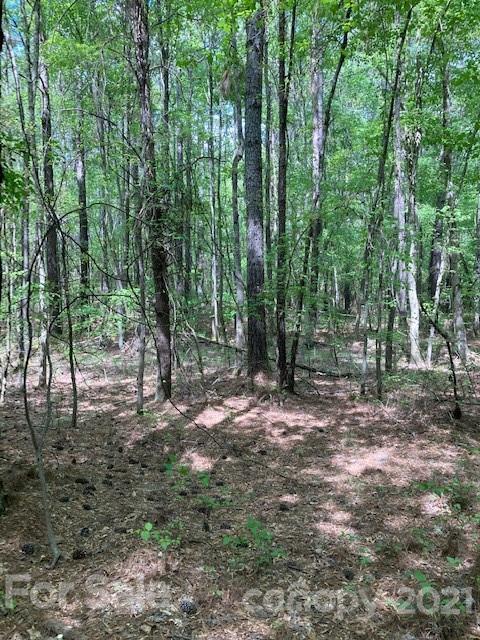 0 High Rock Road, Unit TRACT 2 Gold Hill, NC 28071 - Photo 4 of 9 Gallery Image 4