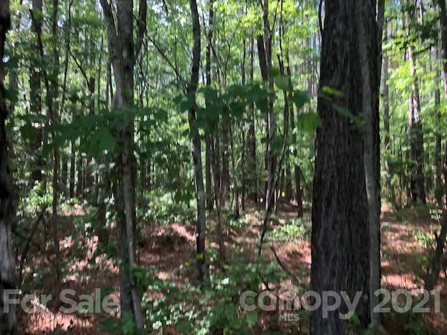 0 High Rock Road, Unit TRACT 2 Gold Hill, NC 28071 - Photo 6 of 9 Gallery Image 6