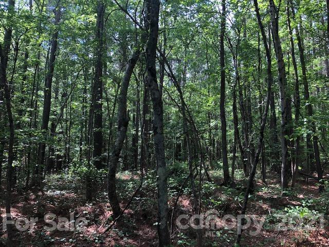 0 High Rock Road, Unit TRACT 2 Gold Hill, NC 28071 - Photo 7 of 9 Gallery Image 7