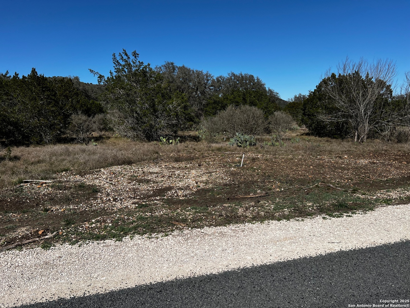 330 Madrone Concan, TX 78838 - Photo 3 of 13 a view of a yard with a tree