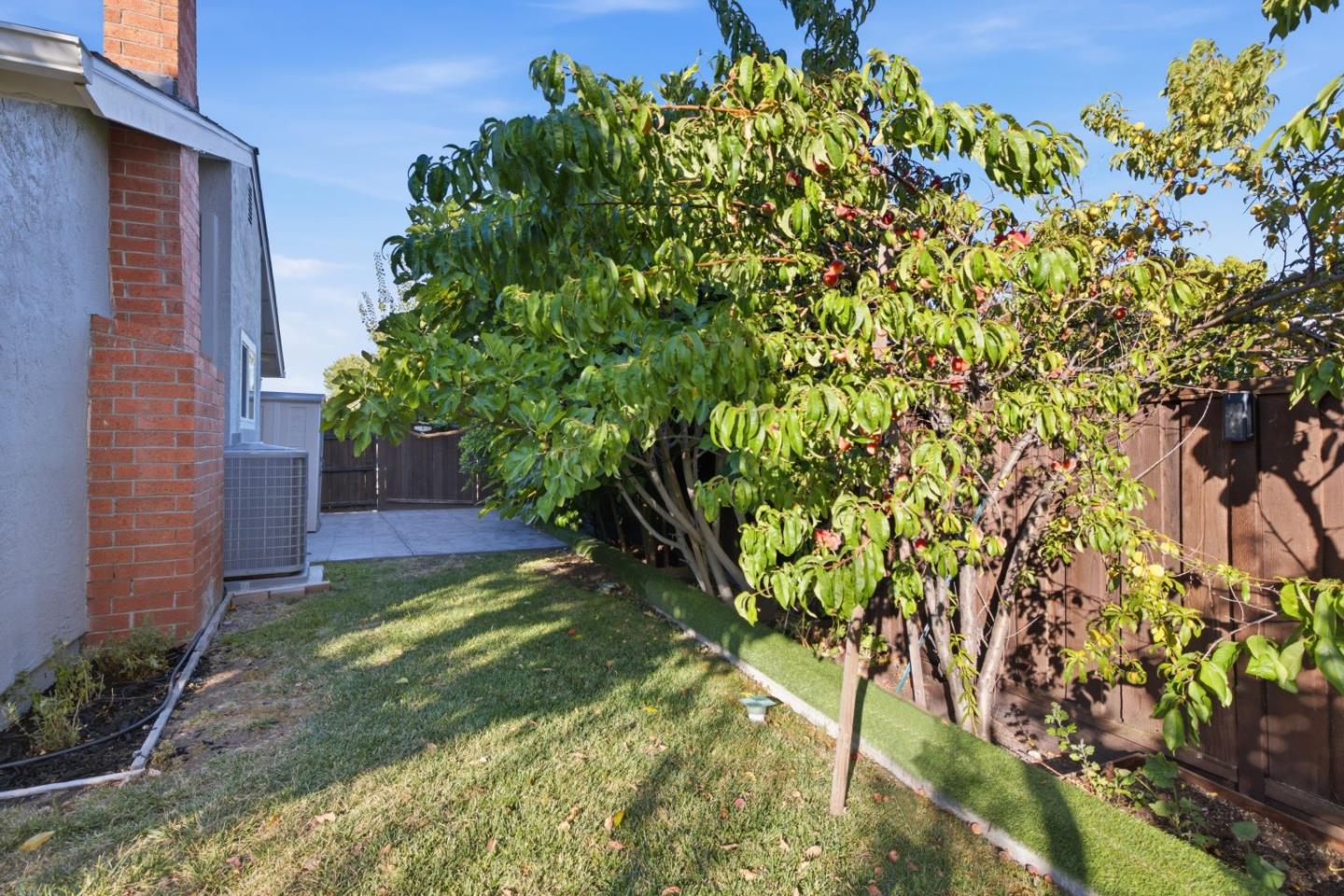 403 Gregg Place San Ramon, CA 94583 - Photo 47 of 63