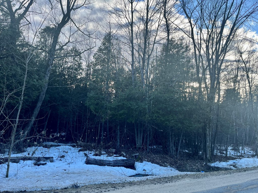 45 Mcqueen Road Fort Covington, NY 12937 - Photo 3 of 5