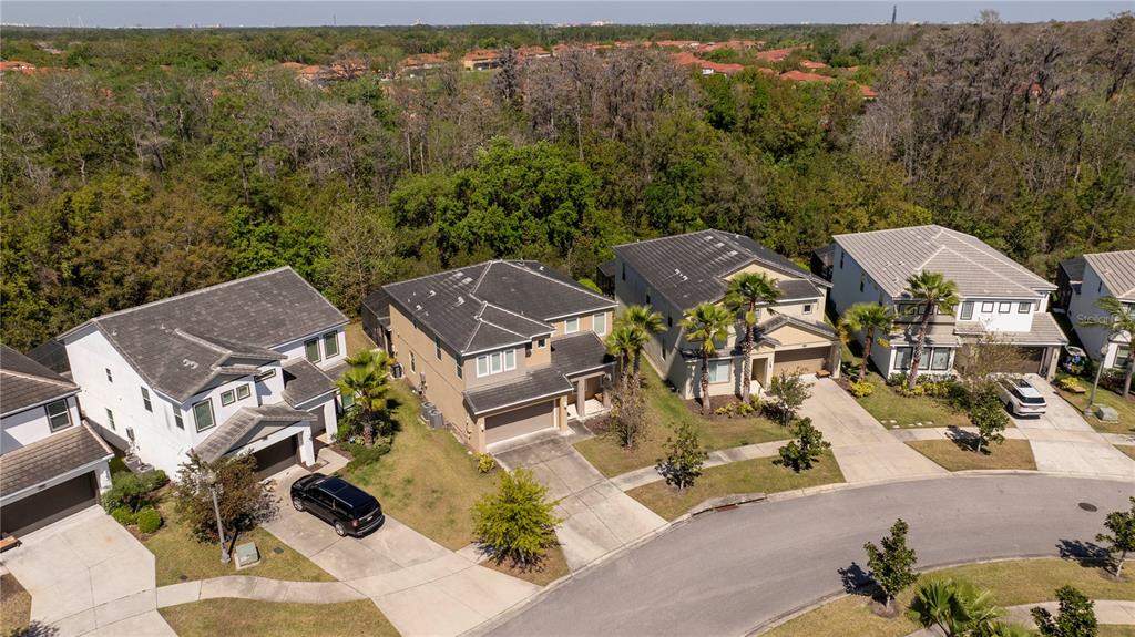 4561 Cabello Loop Kissimmee, FL 34746 - Photo 5 of 100