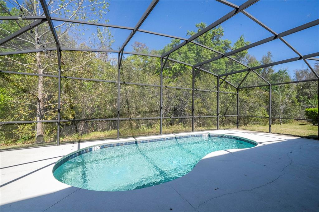 4561 Cabello Loop Kissimmee, FL 34746 - Photo 51 of 100