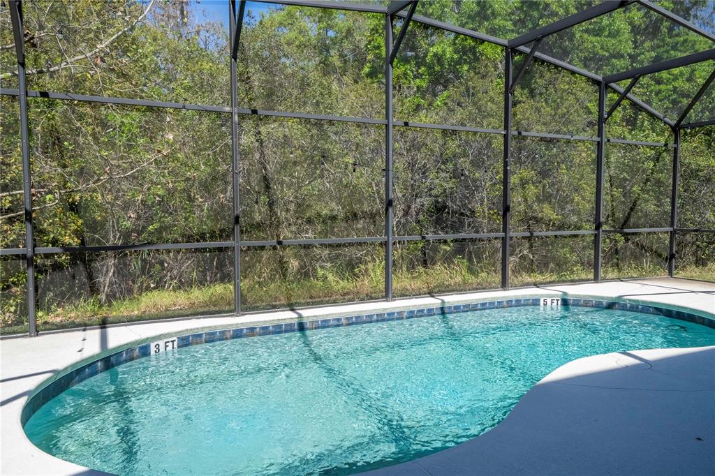 4561 Cabello Loop Kissimmee, FL 34746 - Photo 52 of 100