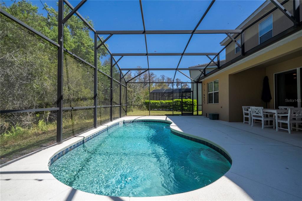4561 Cabello Loop Kissimmee, FL 34746 - Photo 53 of 100 a view of a swimming pool with a patio