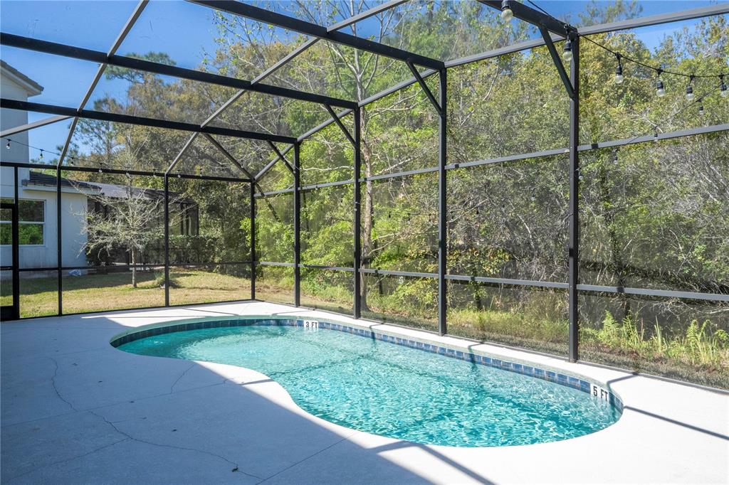 4561 Cabello Loop Kissimmee, FL 34746 - Photo 58 of 100